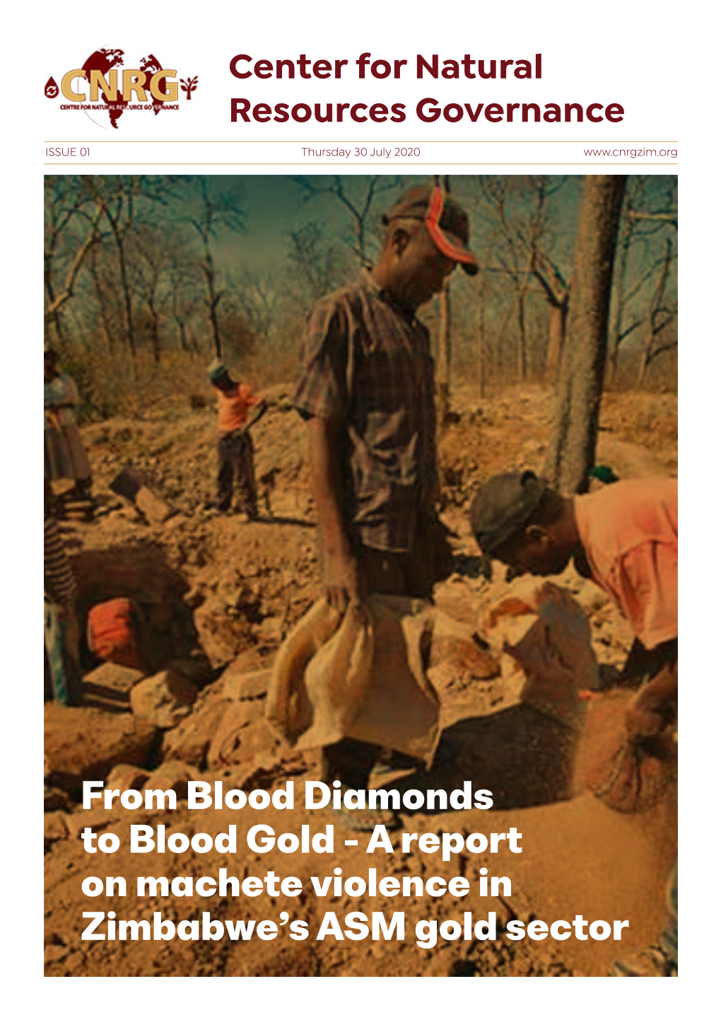 From Blood Diamonds to Blood Gold - a Report on Machete Violence in Zimbabwe’S ASM Gold Sector Introduction