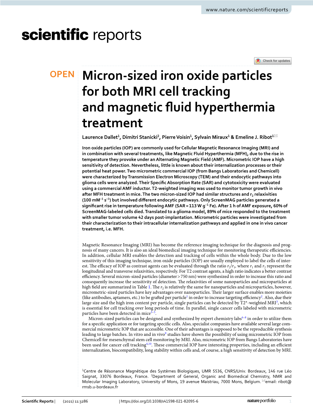Micron-Sized Iron Oxide Particles for Both MRI Cell Tracking and Magnetic