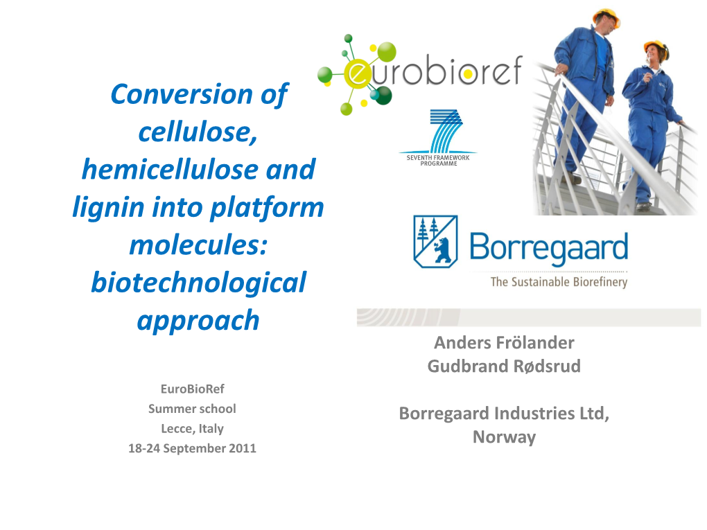 Conversion of Cellulose, Hemicellulose And