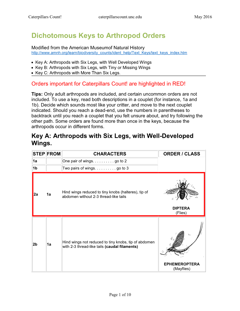 Dichotomous Keys to Arthropod Orders