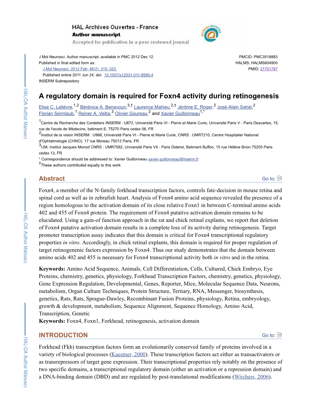 A Regulatory Domain Is Required for Foxn4 Activity During Retinogenesis