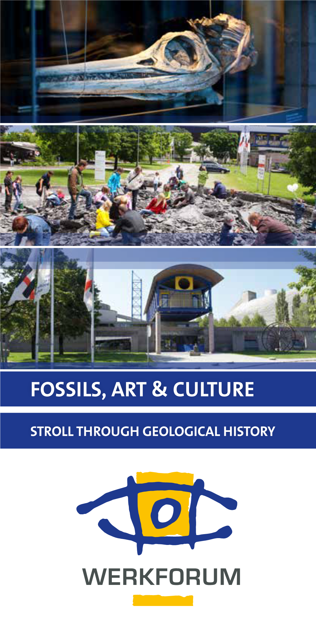 Fossils, Art & Culture