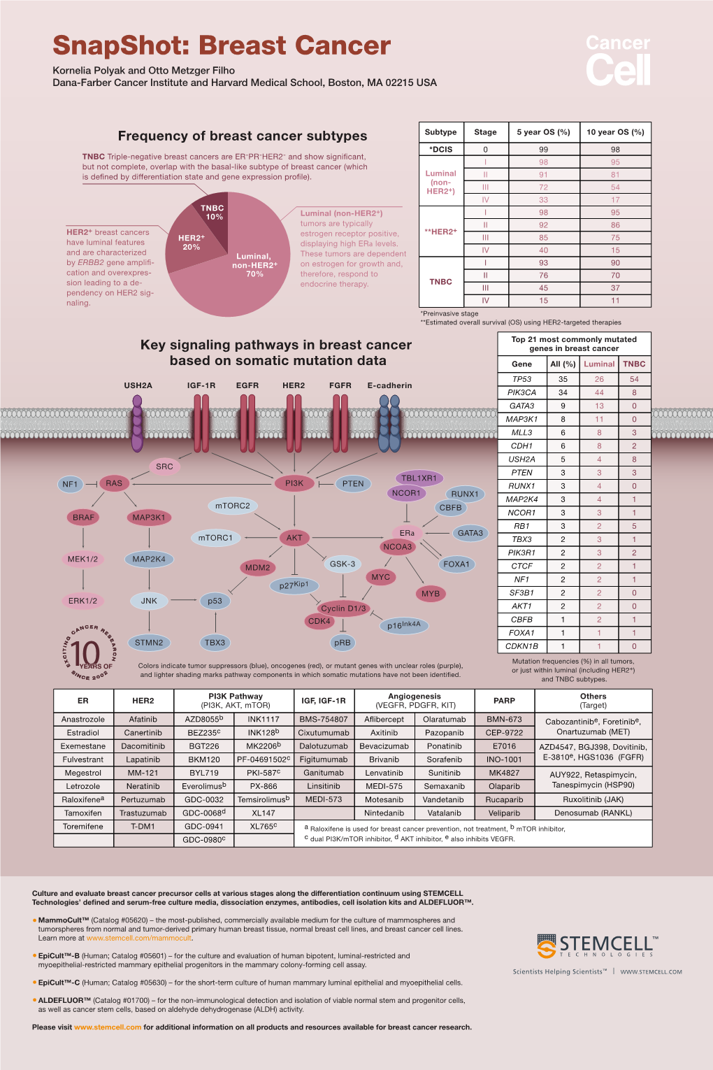 Snapshot: Breast Cancer Kornelia Polyak and Otto Metzger Filho Dana-Farber Cancer Institute and Harvard Medical School, Boston, MA 02215 USA