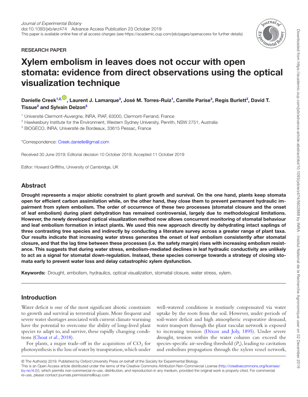 Evidence from Direct Observations Using the Optical Visualization Technique