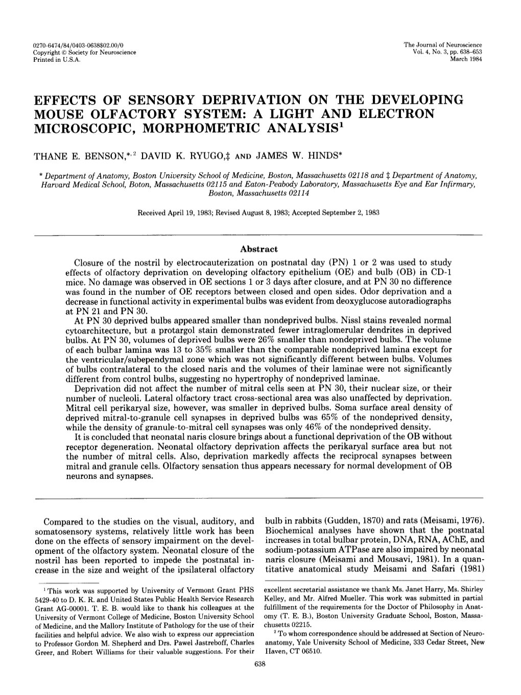 Effects of Sensory Deprivation on the Developing Mouse Olfactory System: a Light and Electron Microscopic, Morphometric Analysis’