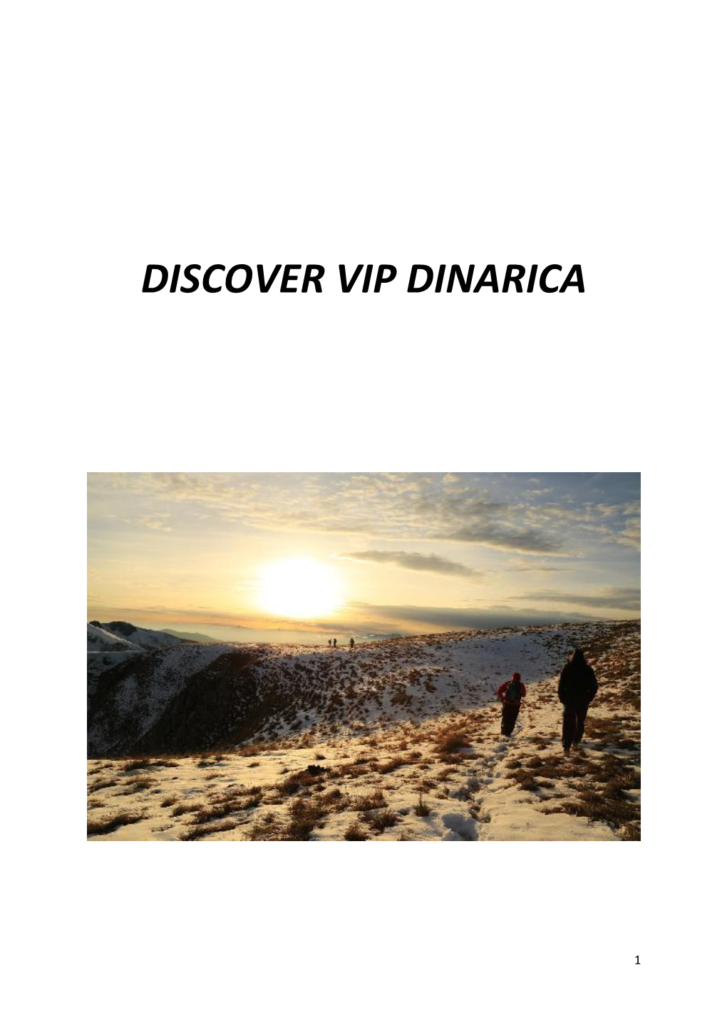 Discover Dinarica Study