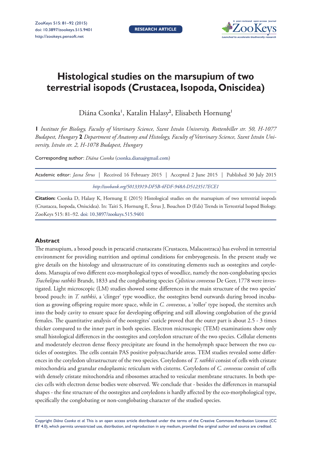 Histological Studies on the Marsupium of Two Terrestrial Isopods