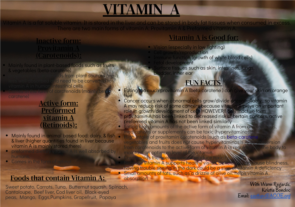 Inactive Form: Provitamin a (Carotenoids): Active Form