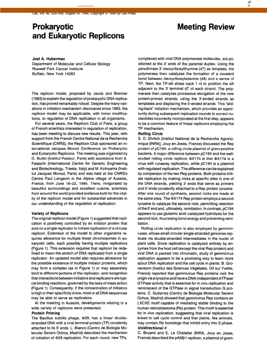 Prokaryotic and Eukaryotic Replicons Meeting Review