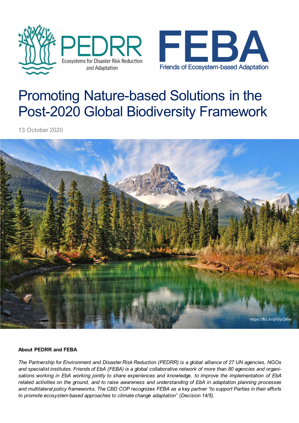 Promoting Nature-Based Solutions in the Post-2020 Global Biodiversity Framework