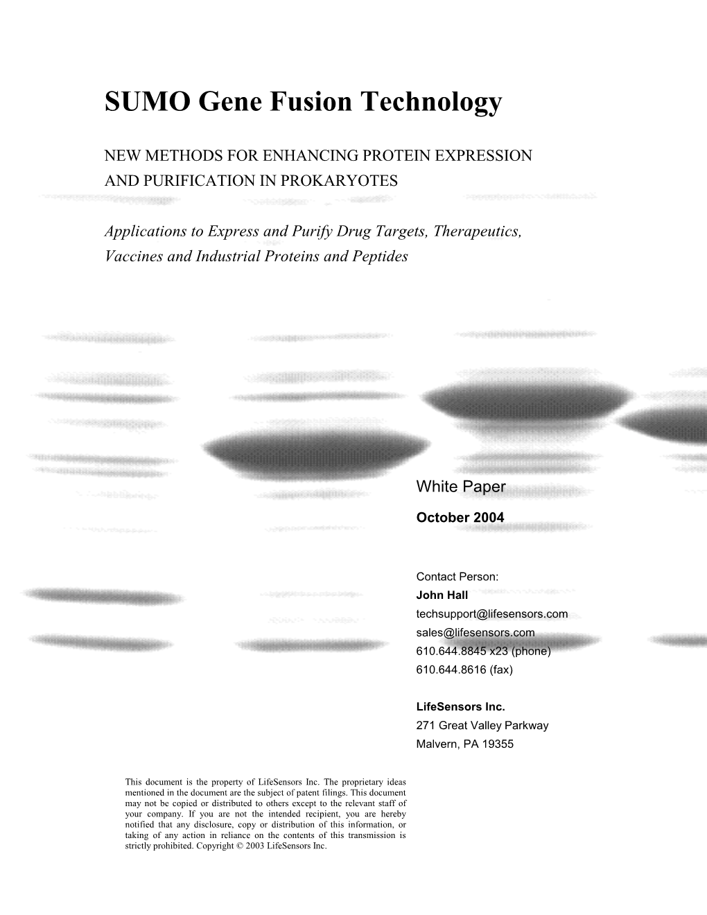 SUMO Proteases Are Extremely Efficient at Cleaving Fusion Proteins