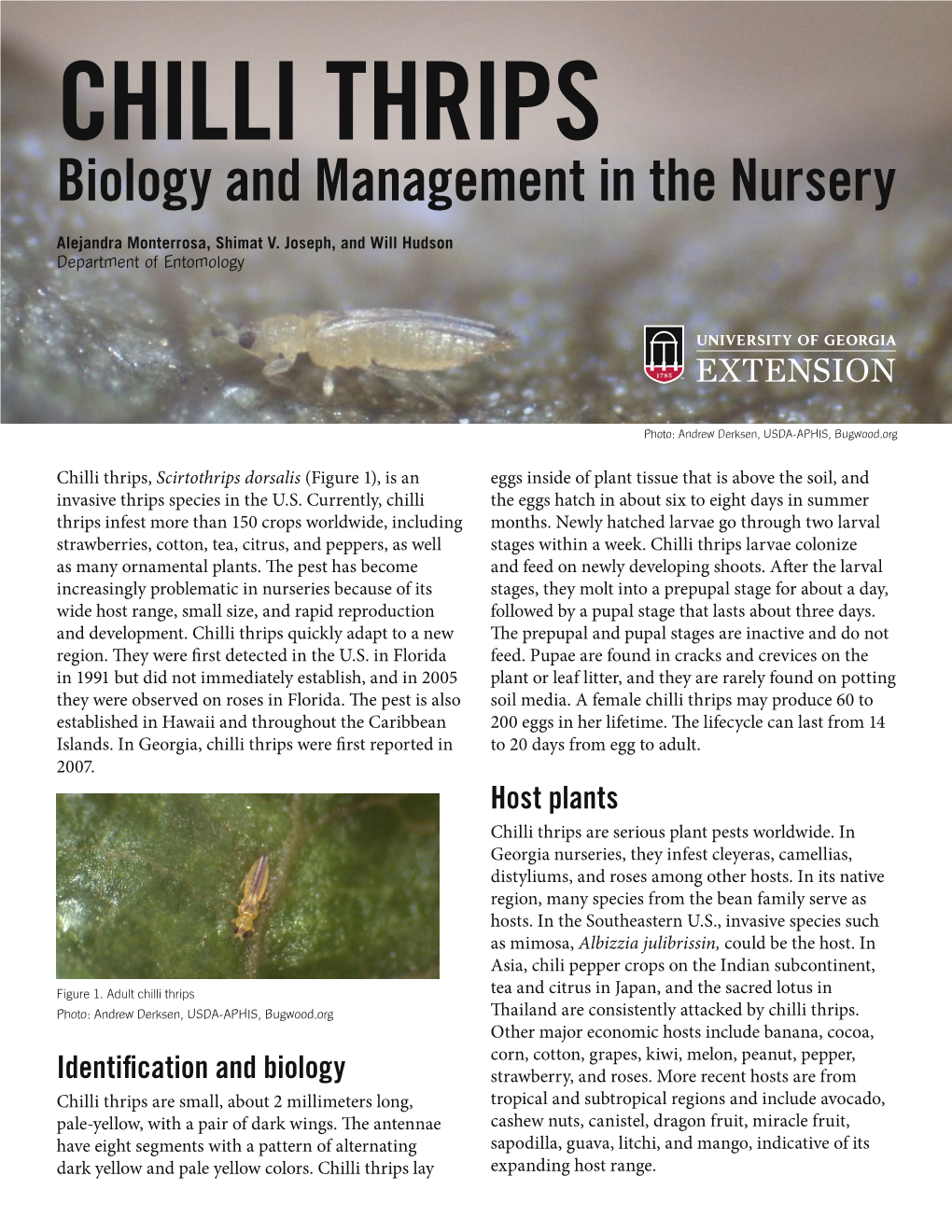 Chilli Thrips: Biology and Management in the Nursery 2 References