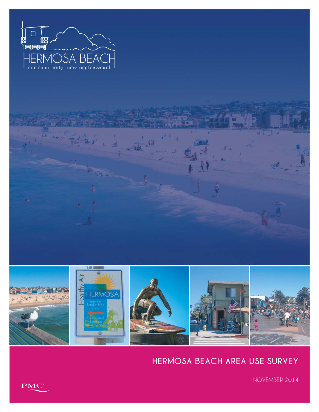 Hermosa Beach Area Use Survey