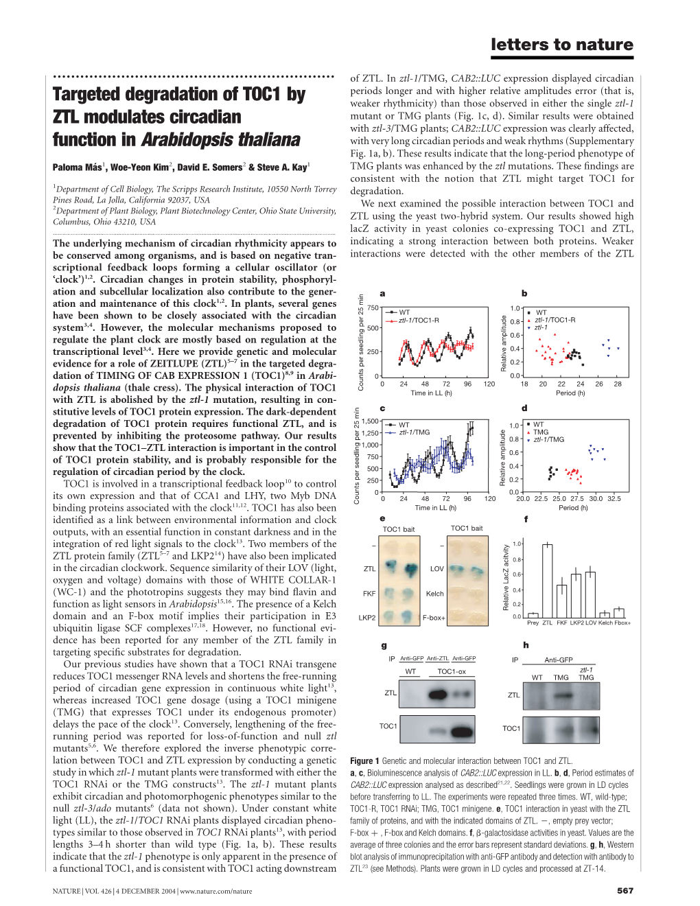 Targeted Degradation of TOC1 by ZTL Modulates Circadian Function In