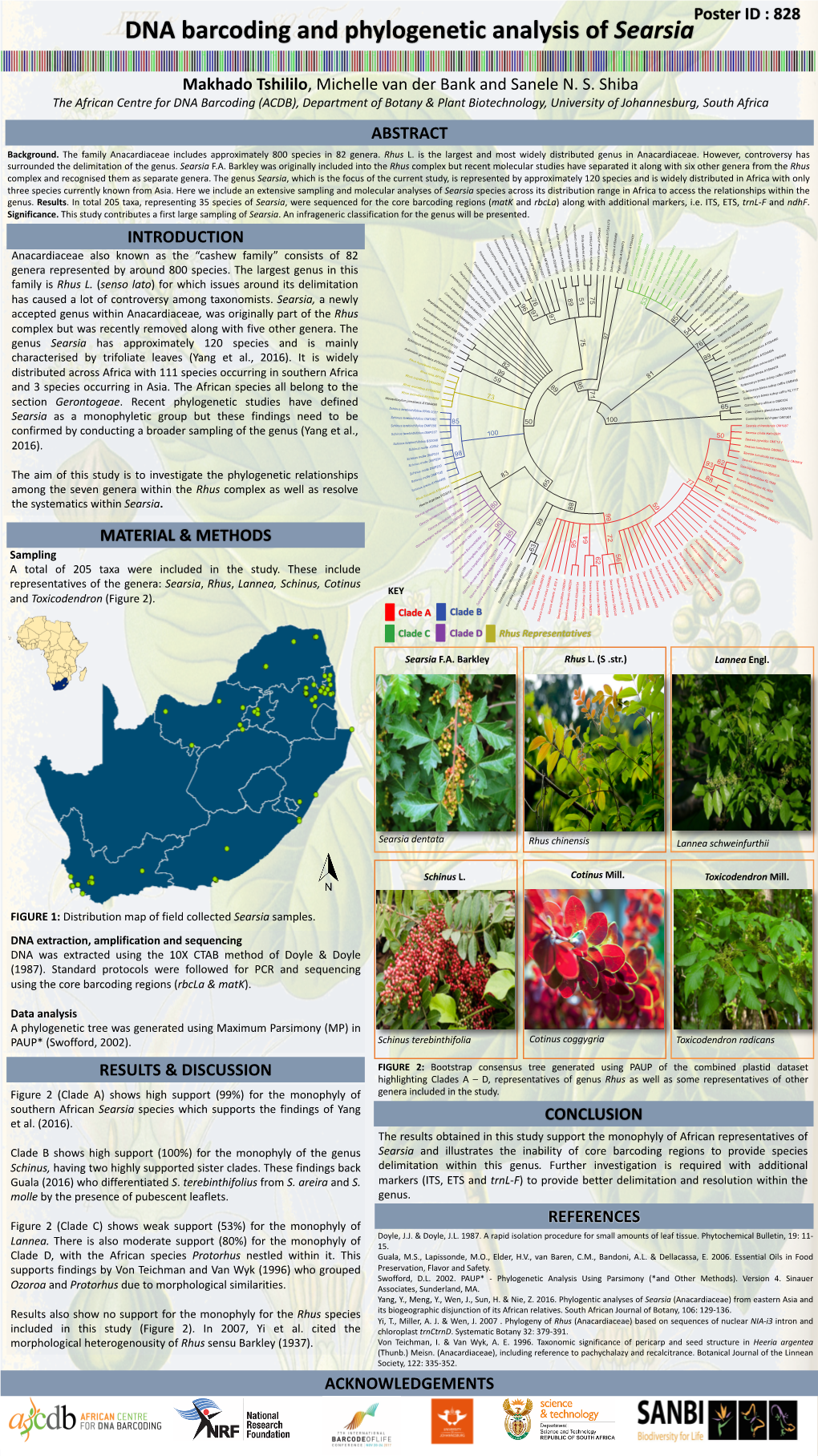 DNA Barcoding and Phylogenetic Analysis of Searsia