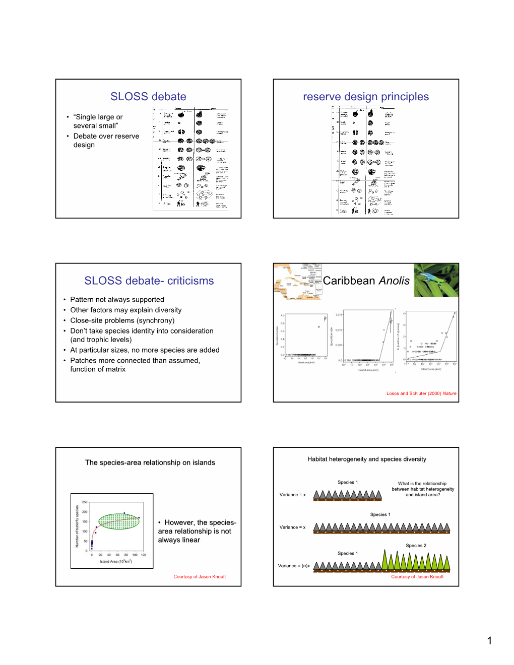 Reserve Design Principles SLOSS Debate- Criticisms