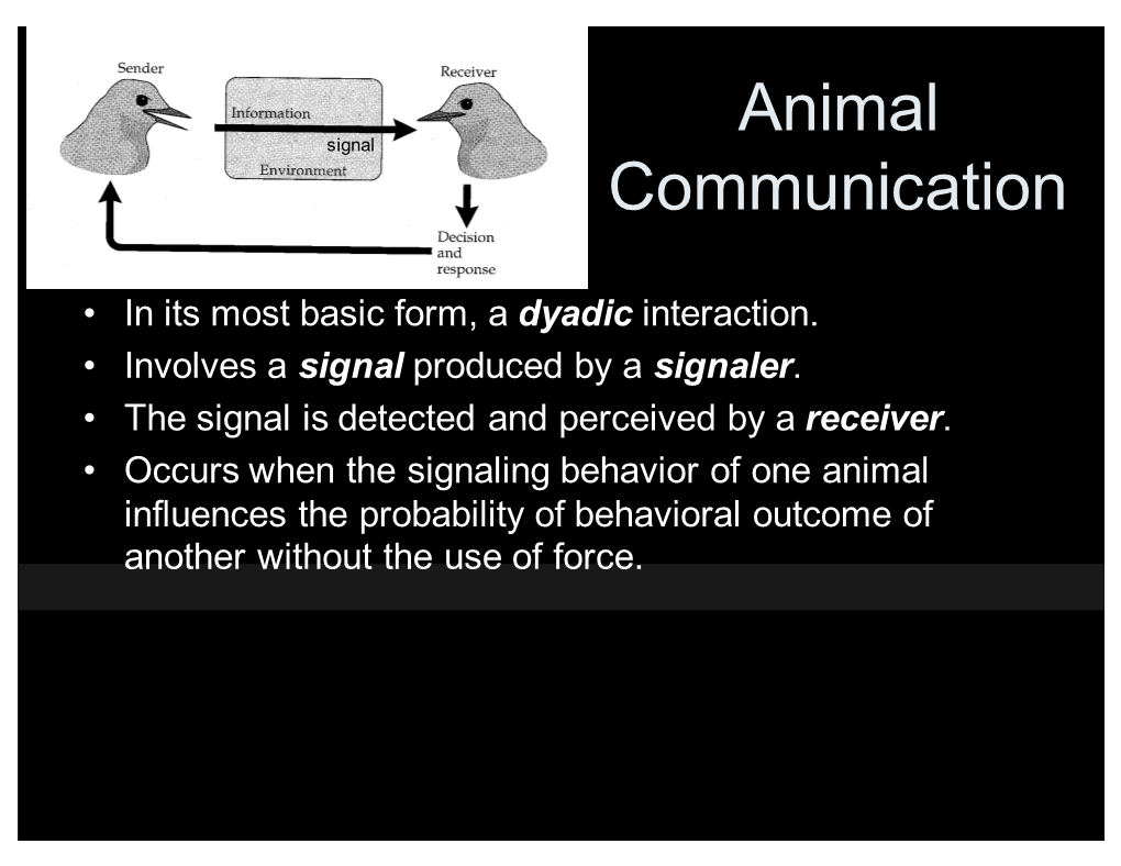 Animal Communication