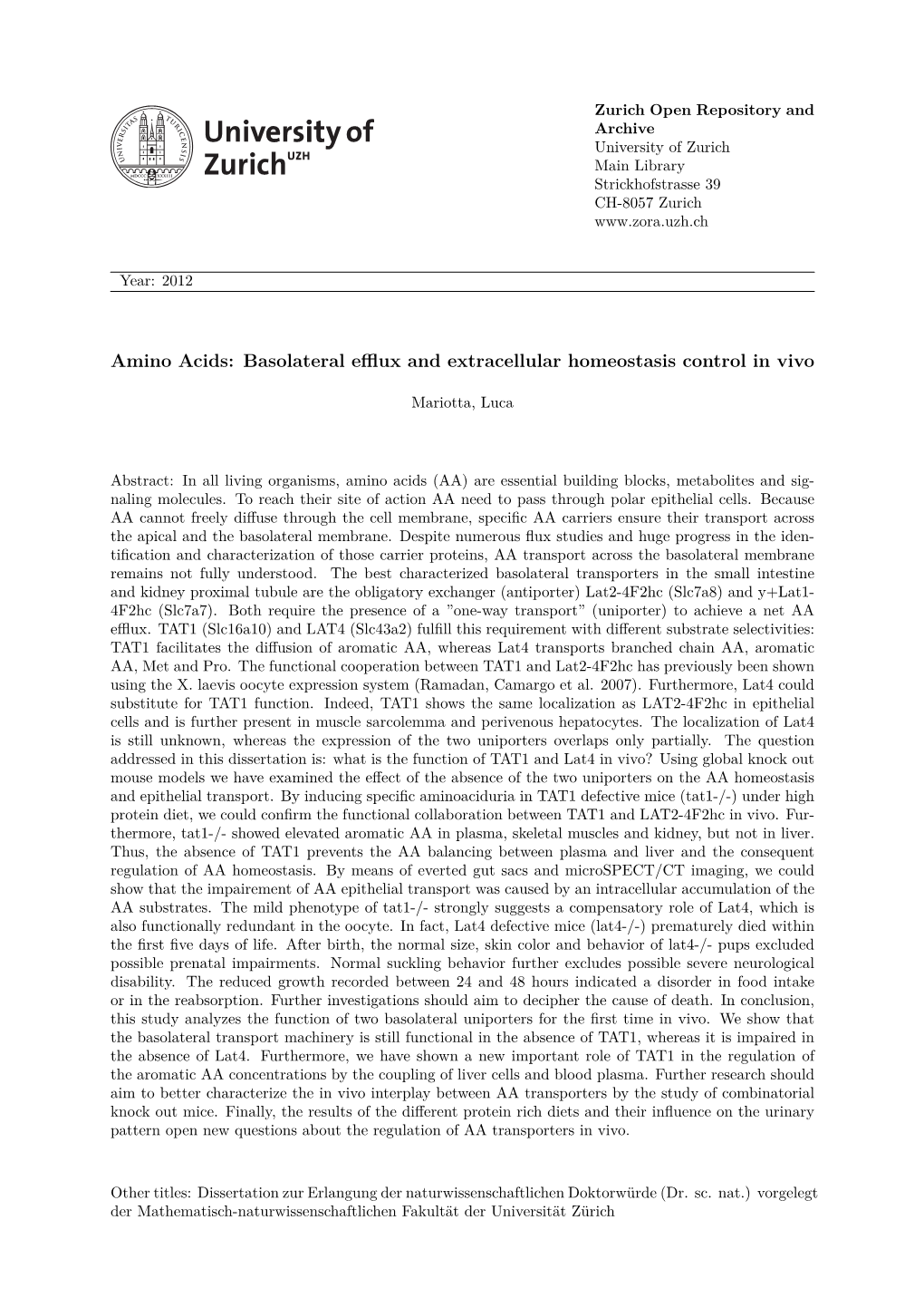 Amino Acids: Basolateral Efflux and Extracellular Homeostasis Control Invivo