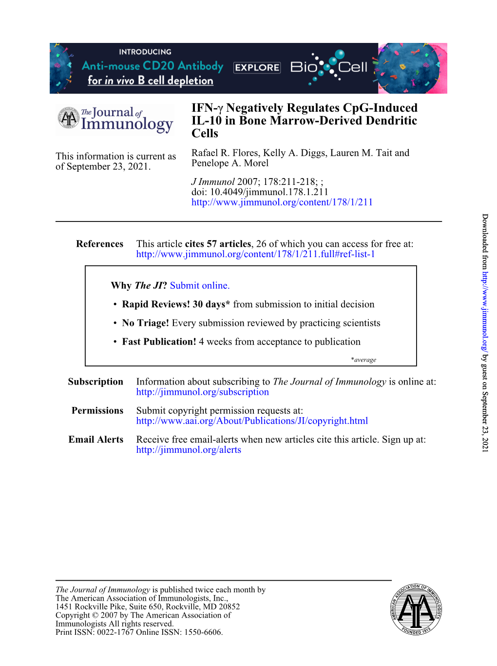 Cells IL-10 in Bone Marrow-Derived