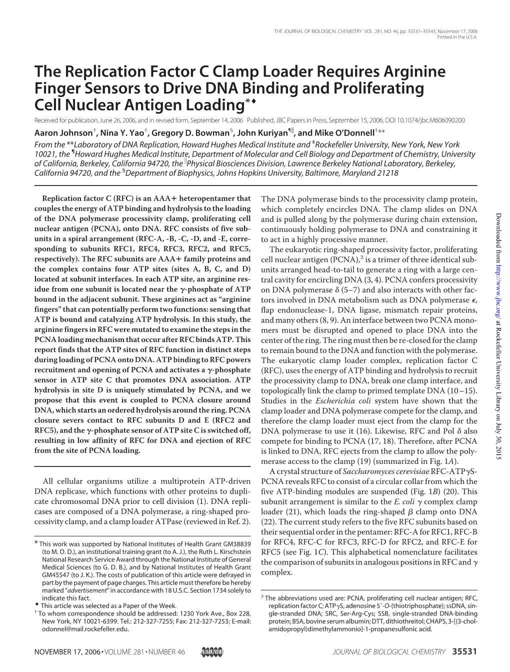 The Replication Factor C Clamp Loader Requires Arginine Finger Sensors to Drive DNA Binding and Proliferating Cell Nuclear Antig