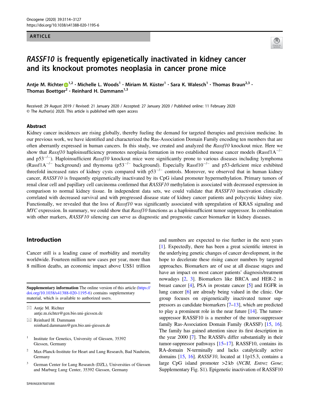 RASSF10 Is Frequently Epigenetically Inactivated in Kidney Cancer and Its Knockout Promotes Neoplasia in Cancer Prone Mice