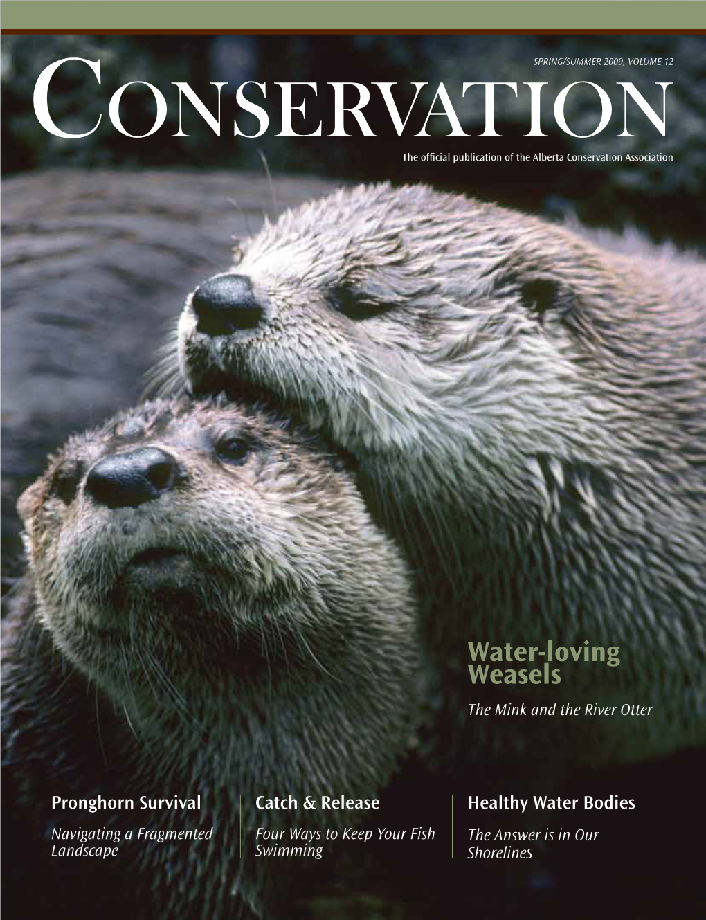 Water-Loving Weasels: the Mink and the River Otter on Page 10, Dr