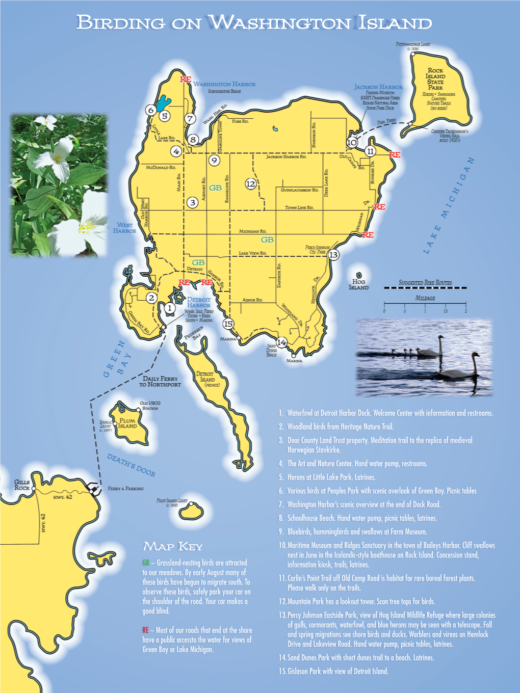 Birding on Washington Island