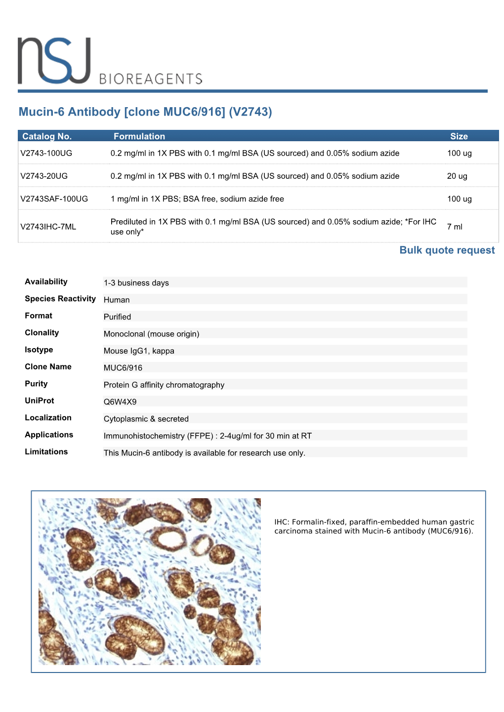 Mucin-6 Antibody [Clone MUC6/916] (V2743)