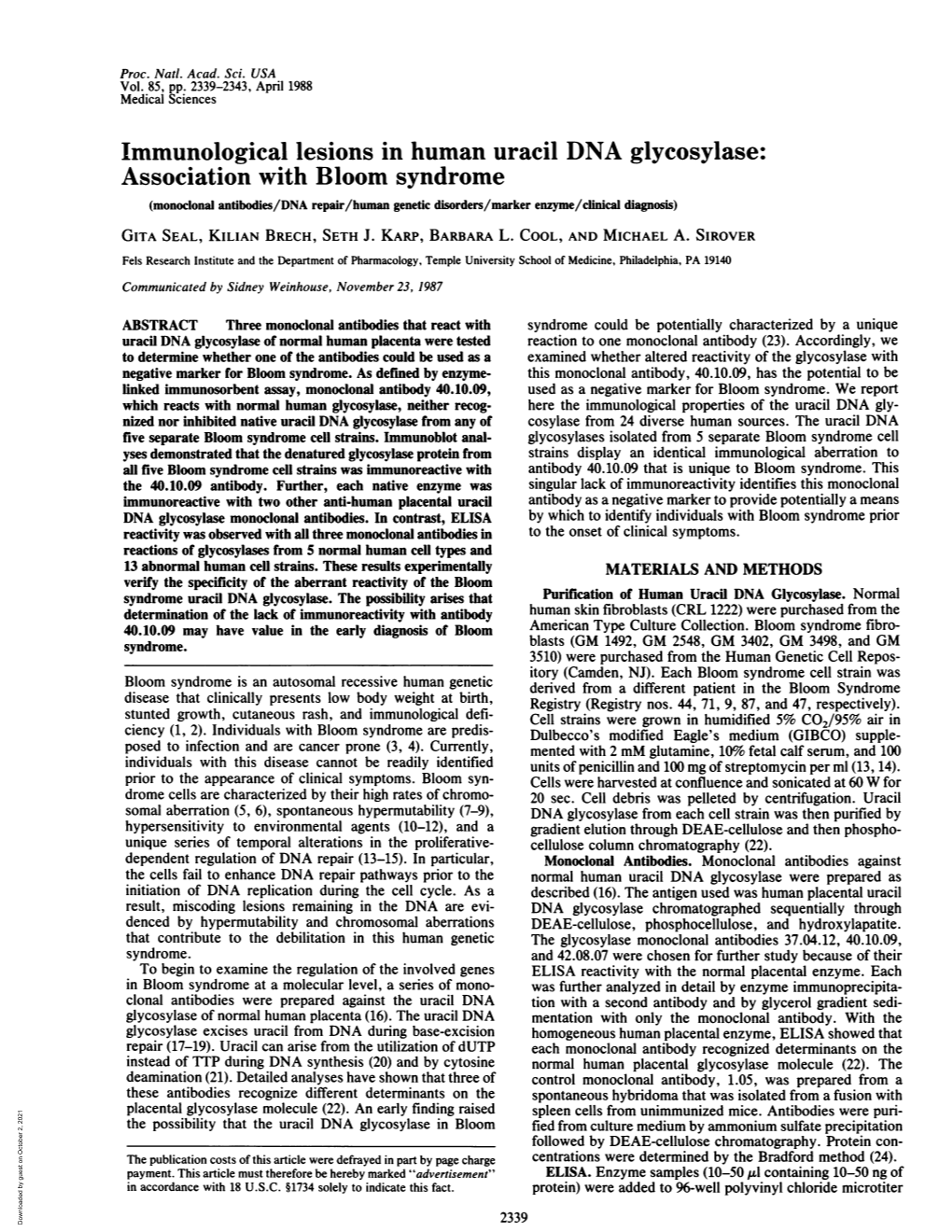 Immunological Lesions in Human Uracil DNA Glycosylase