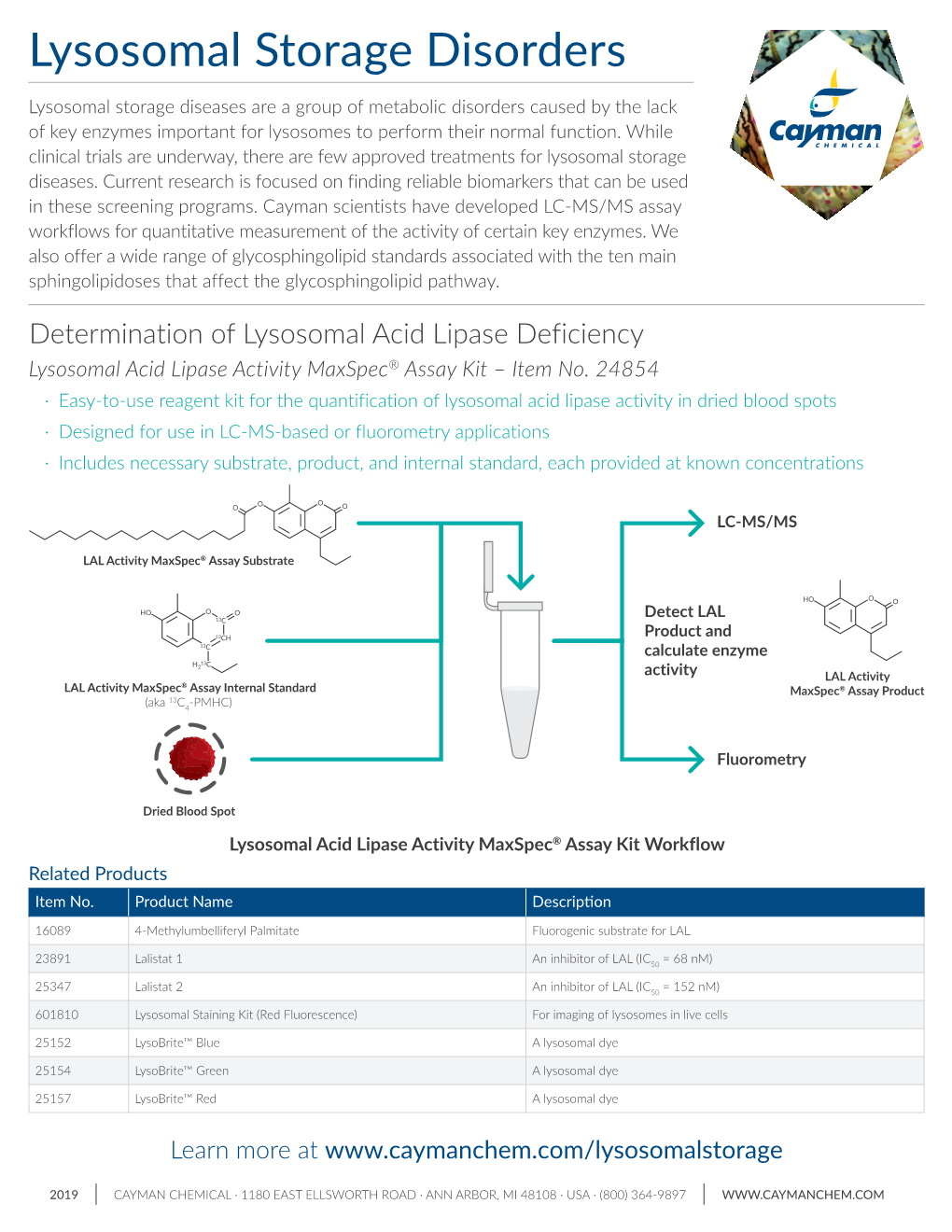 Lysosomal Storage Disorders