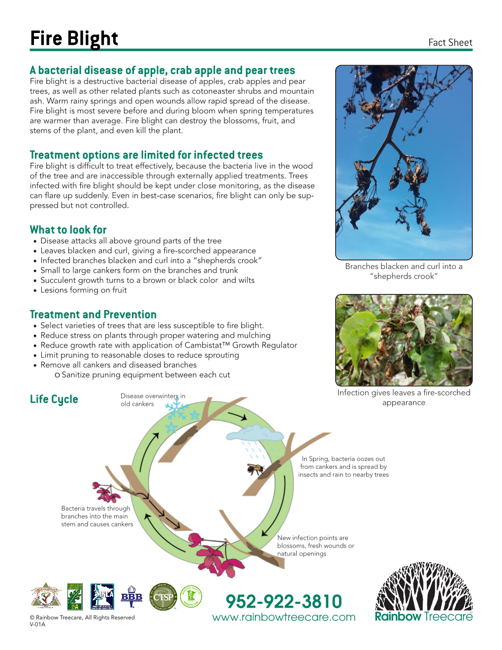 Fire Blight Fact Sheet