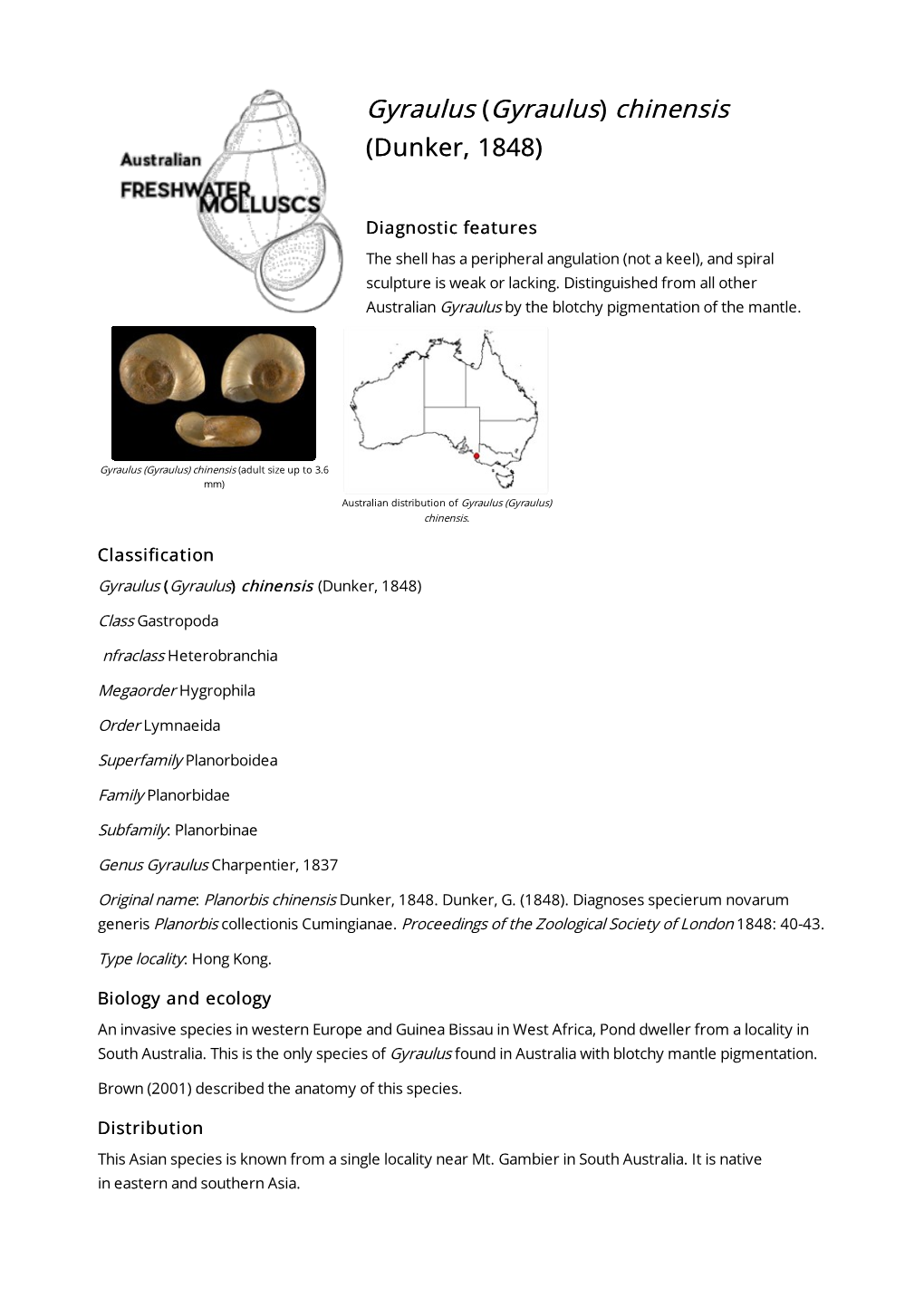 Gyraulus) Chinensis (Dunker, 1848