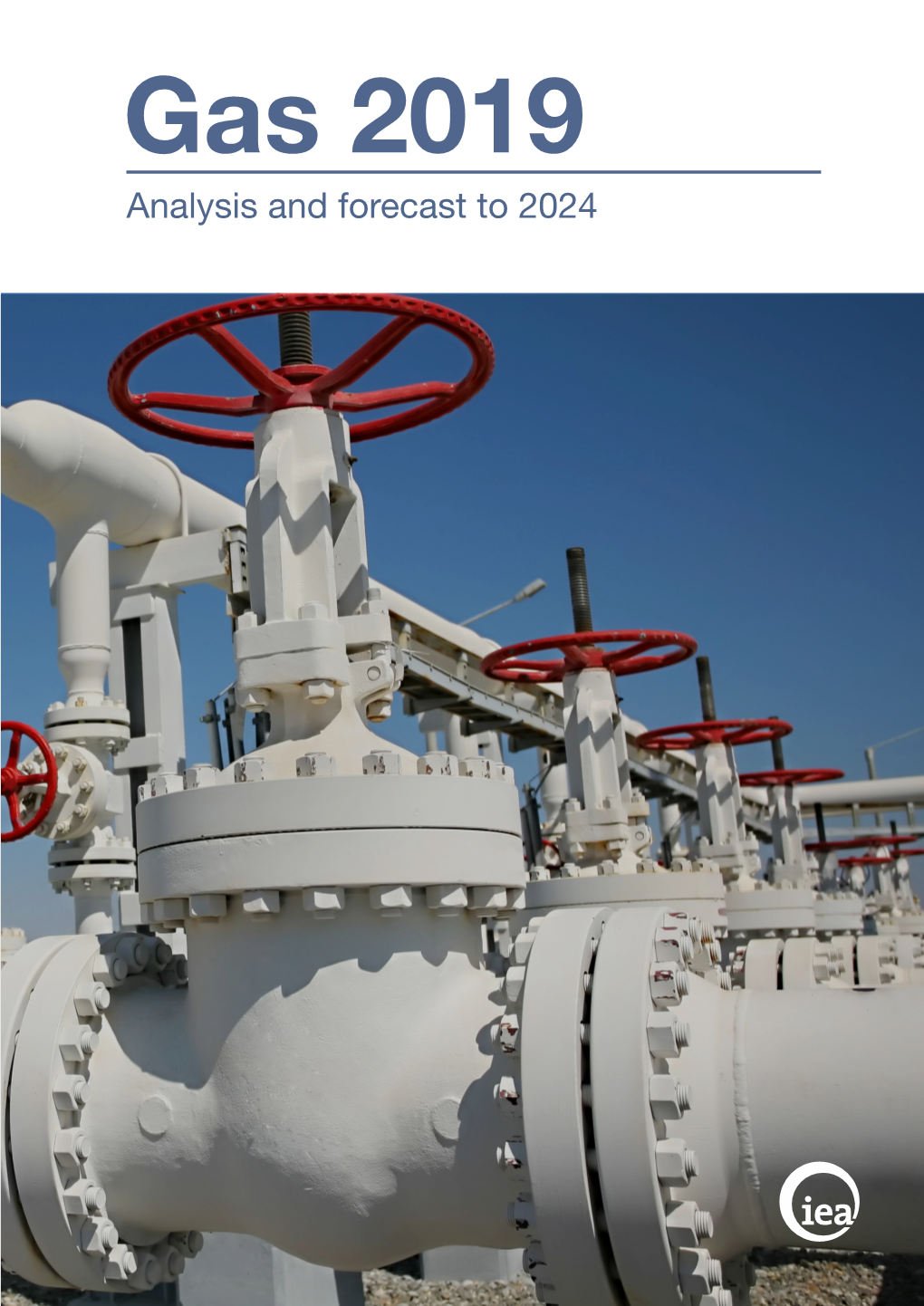 Analysis and Forecast to 2024 Gas 2019 Analysis and Forecast to 2024 Gas Market Report 2019 Foreword