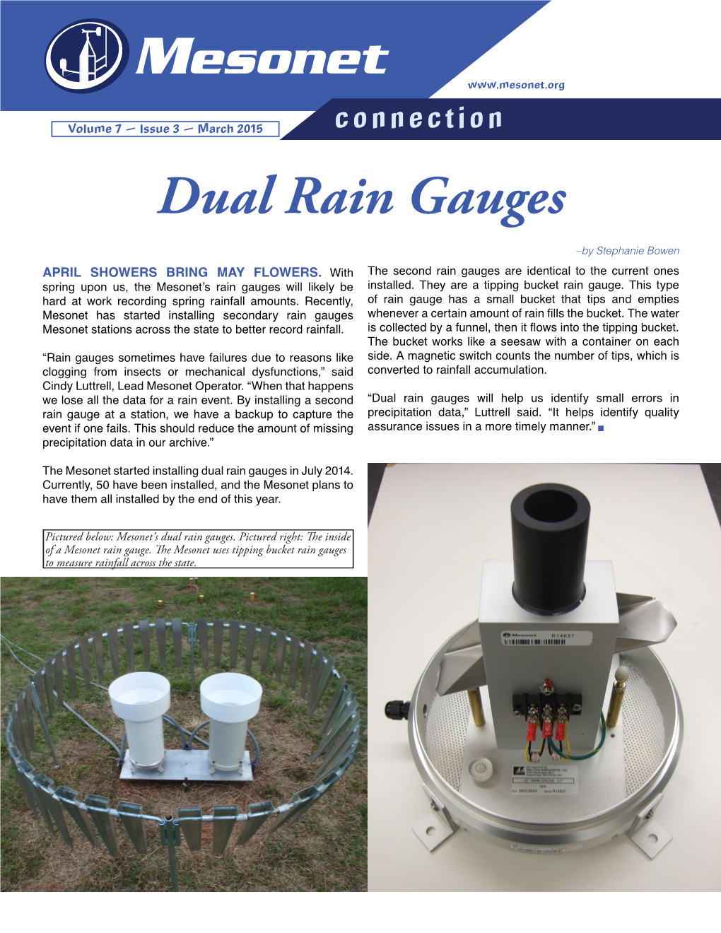 Dual Rain Gauges