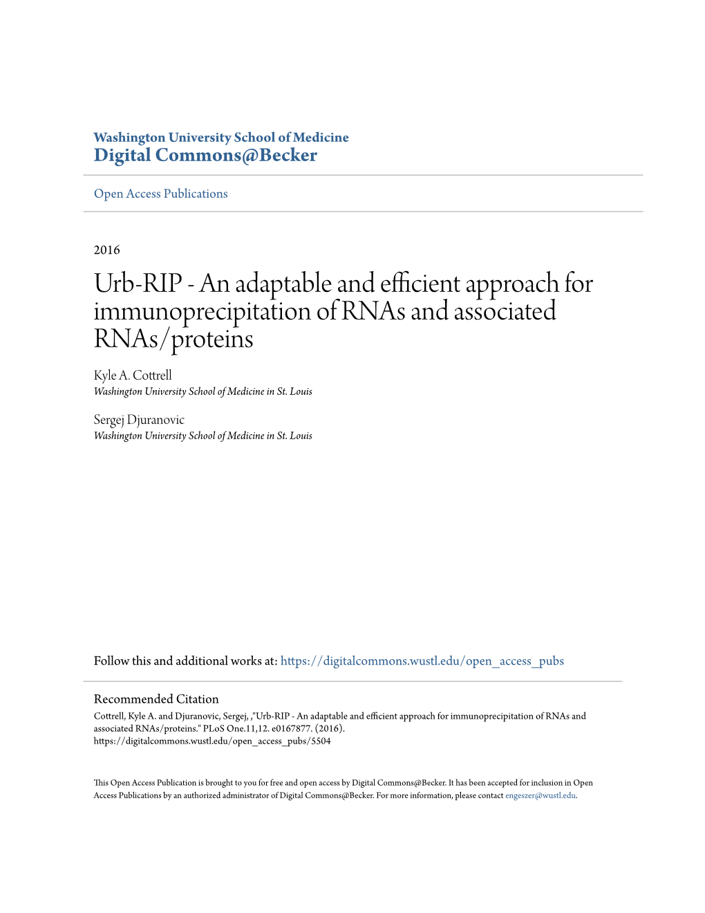 Urb-RIP - an Adaptable and Efficient Approach for Immunoprecipitation of Rnas and Associated Rnas/Proteins Kyle A