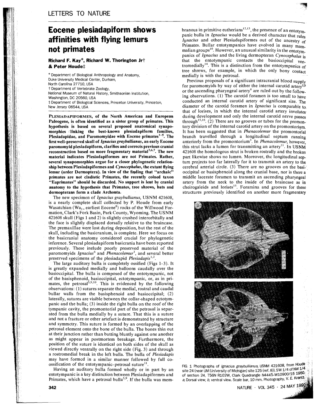 Eocene Plesiadapiform Shows Affinities with Flying Lemurs Not