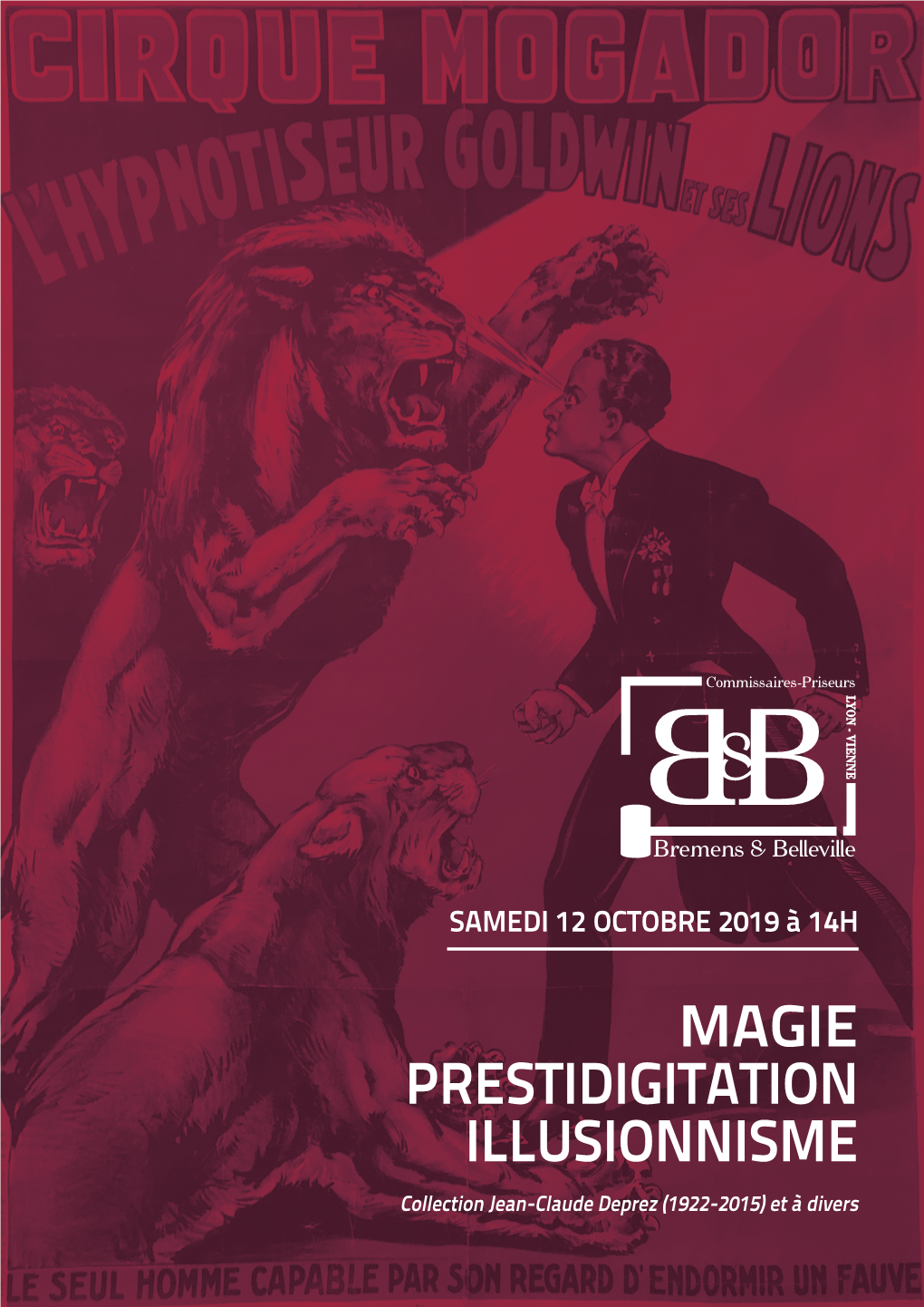 Magie Prestidigitation Illusionnisme