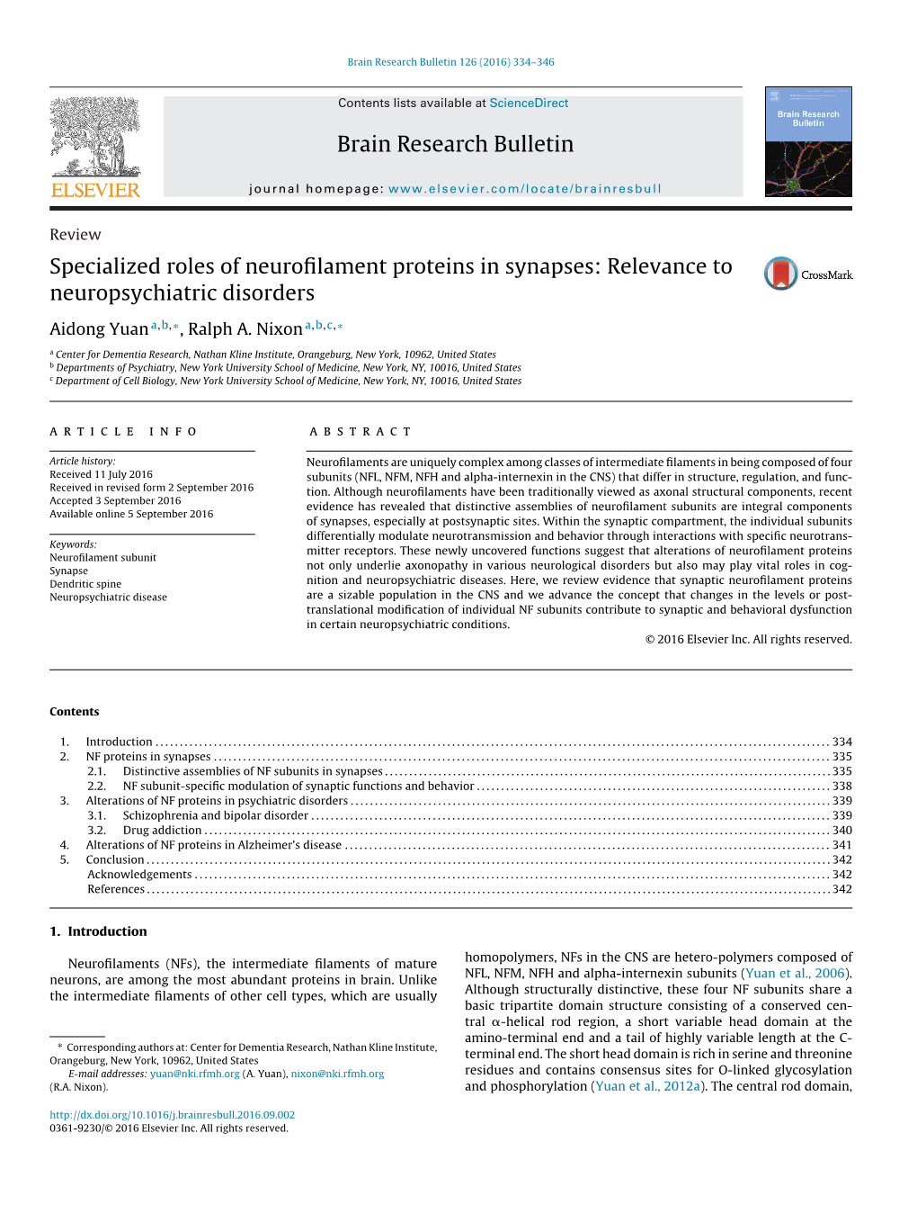 Specialized Roles of Neurofilament Proteins in Synapses