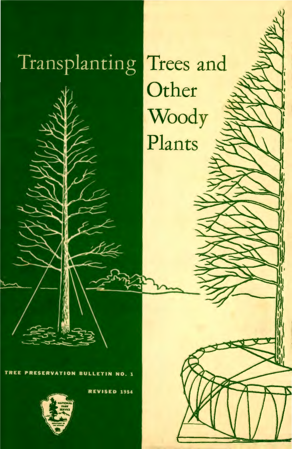 Transplanting Trees and Other Woody Plants