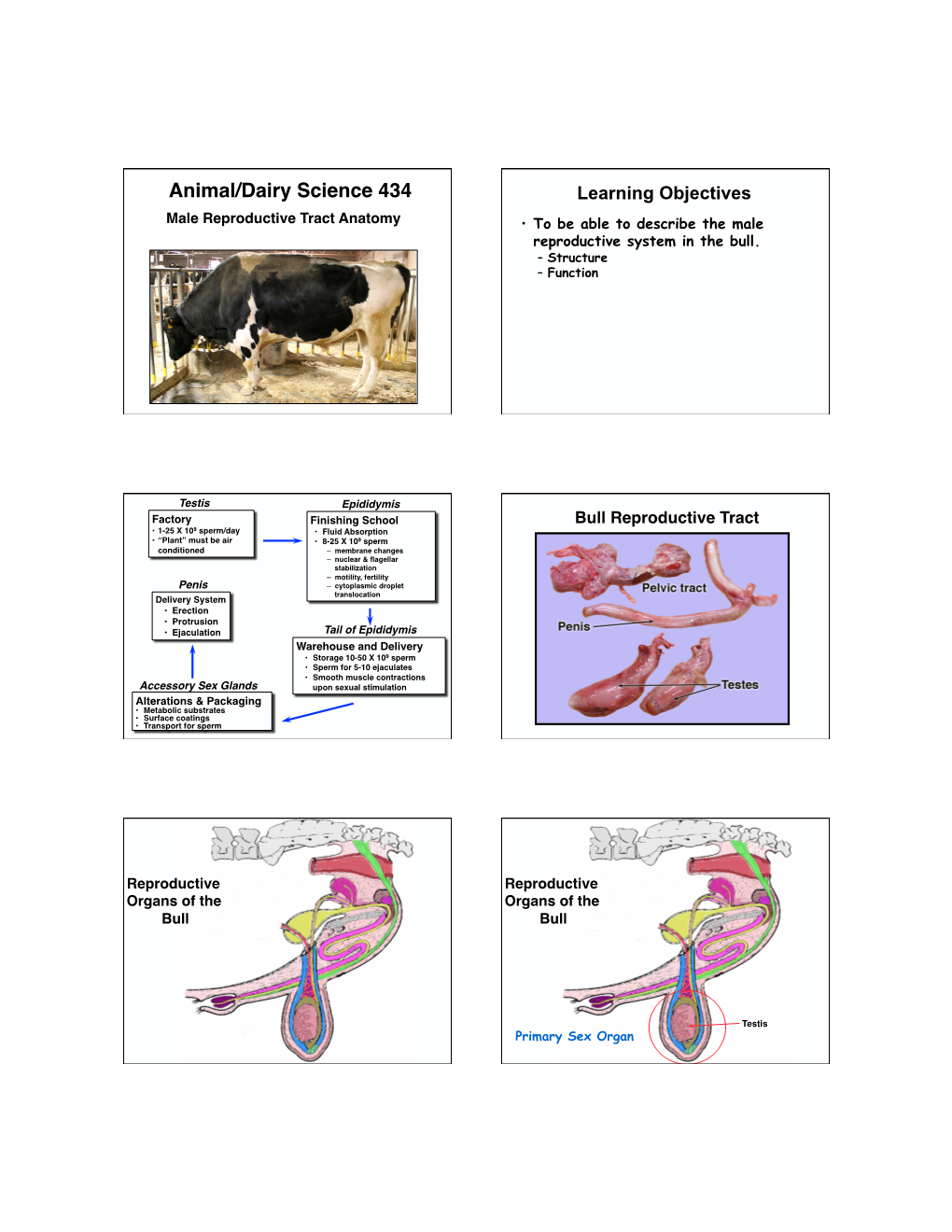 Animal/Dairy Science 434� Learning Objectives