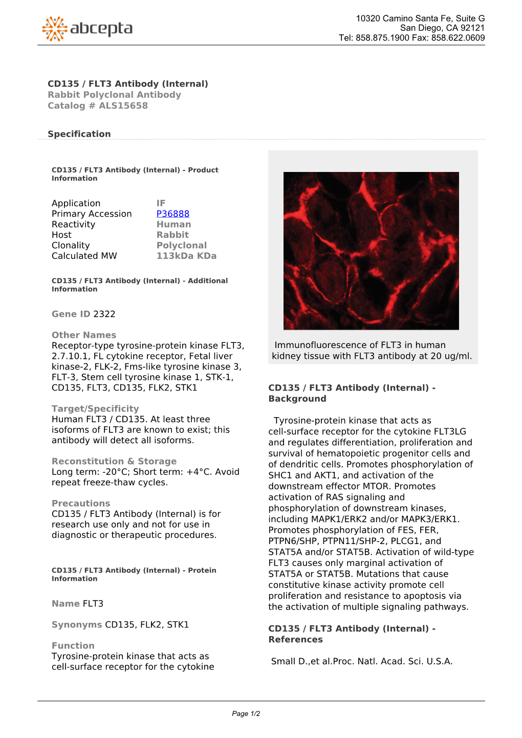CD135 / FLT3 Antibody (Internal) Rabbit Polyclonal Antibody Catalog # ALS15658