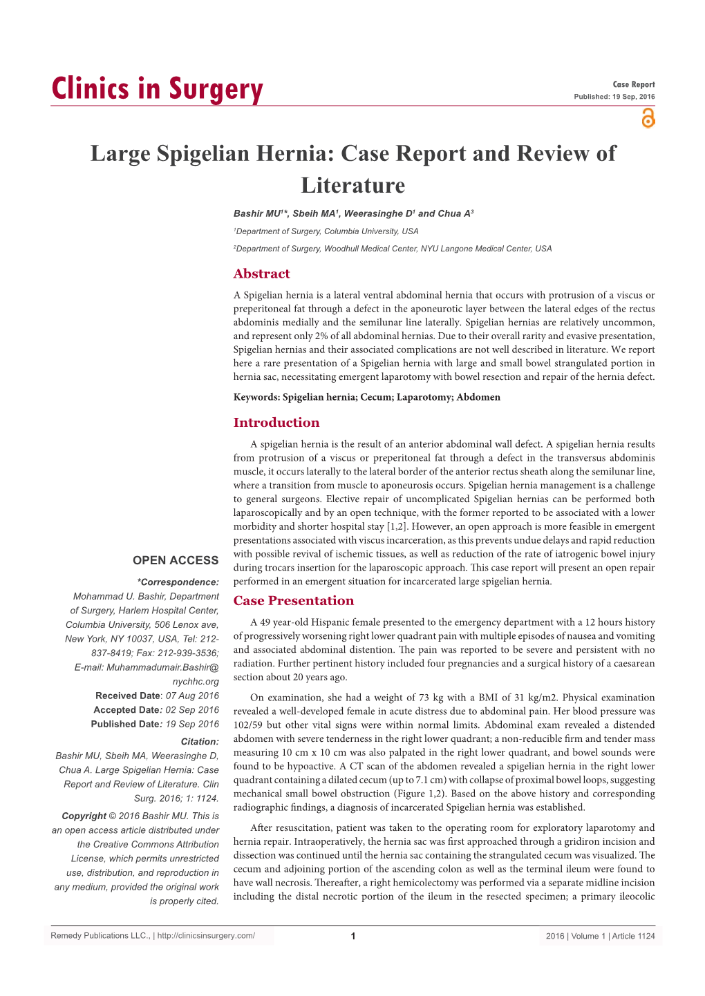 Large Spigelian Hernia: Case Report and Review of Literature