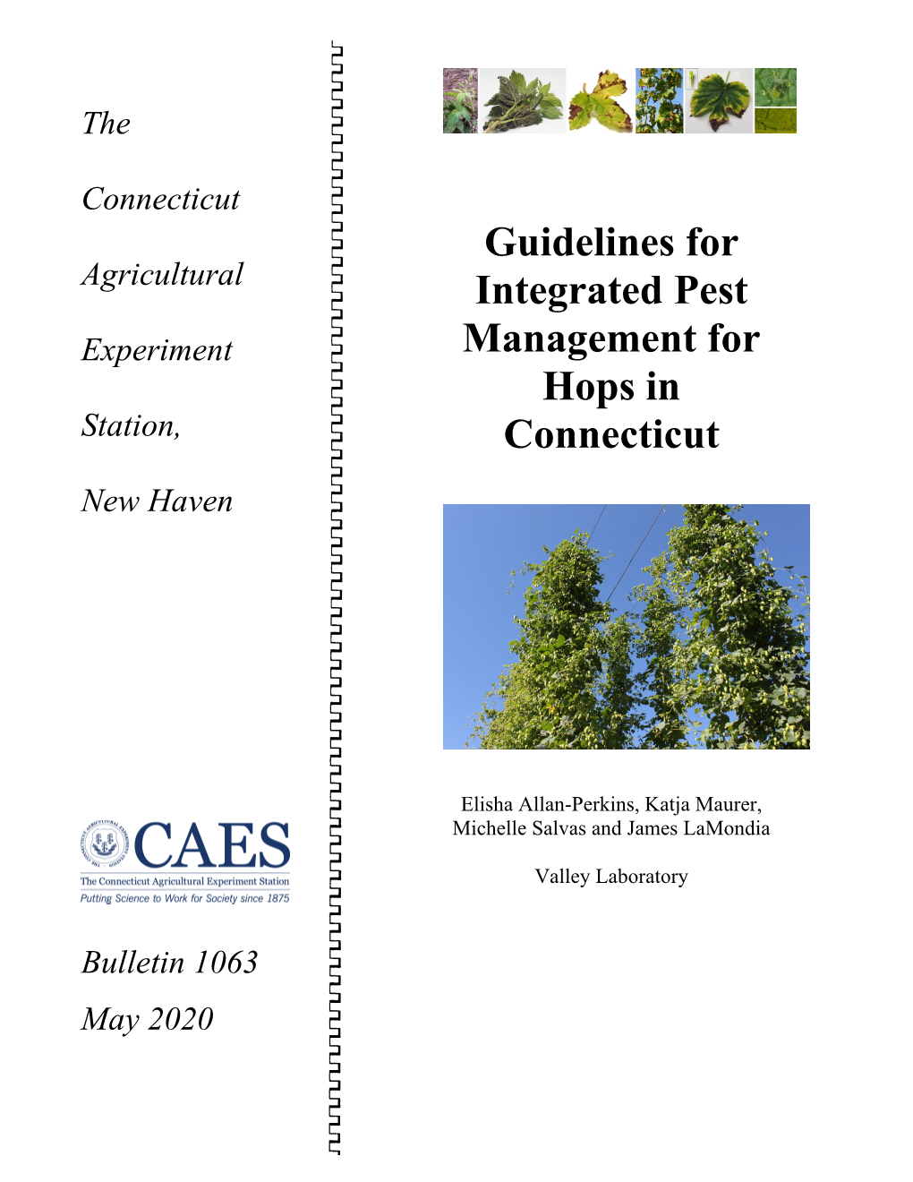 Guidelines for Integrated Pest Management for Hops in Connecticut