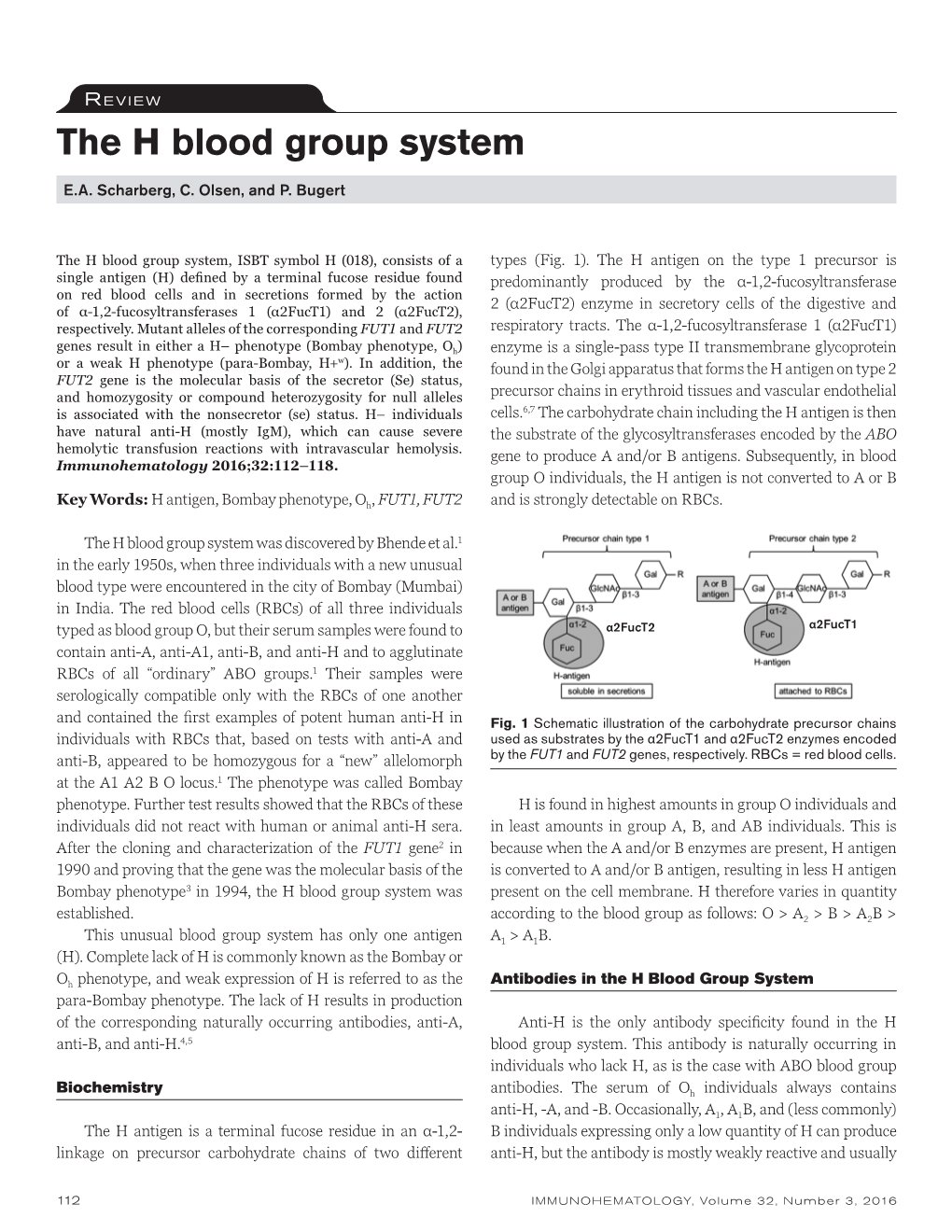 The H Blood Group System