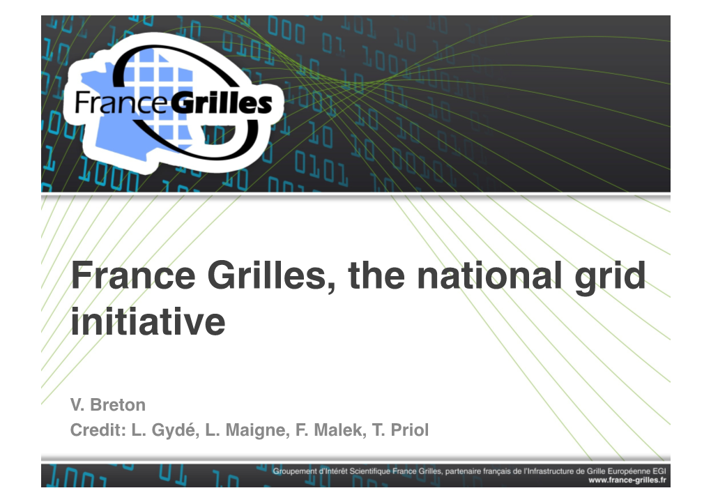 France Grilles, the National Grid Initiative