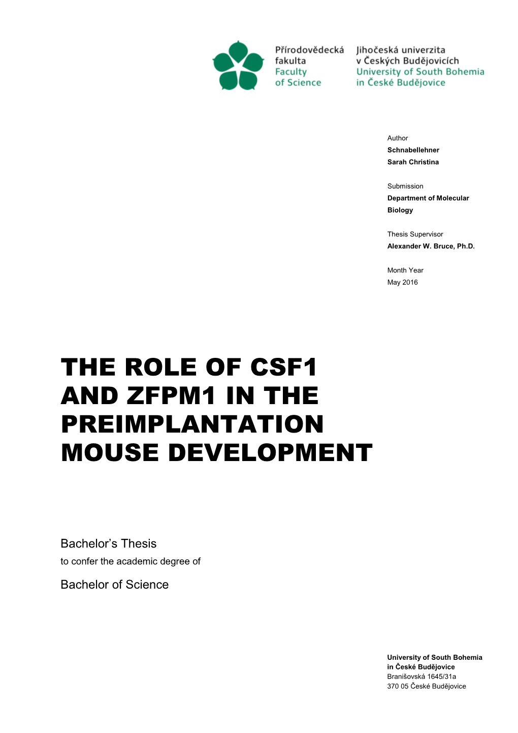 The Role of Csf1 and Zfpm1 in the Preimplantation Mouse Development