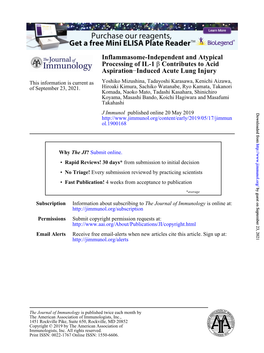 Inflammasome-Independent and Atypical Processing of IL-1Β