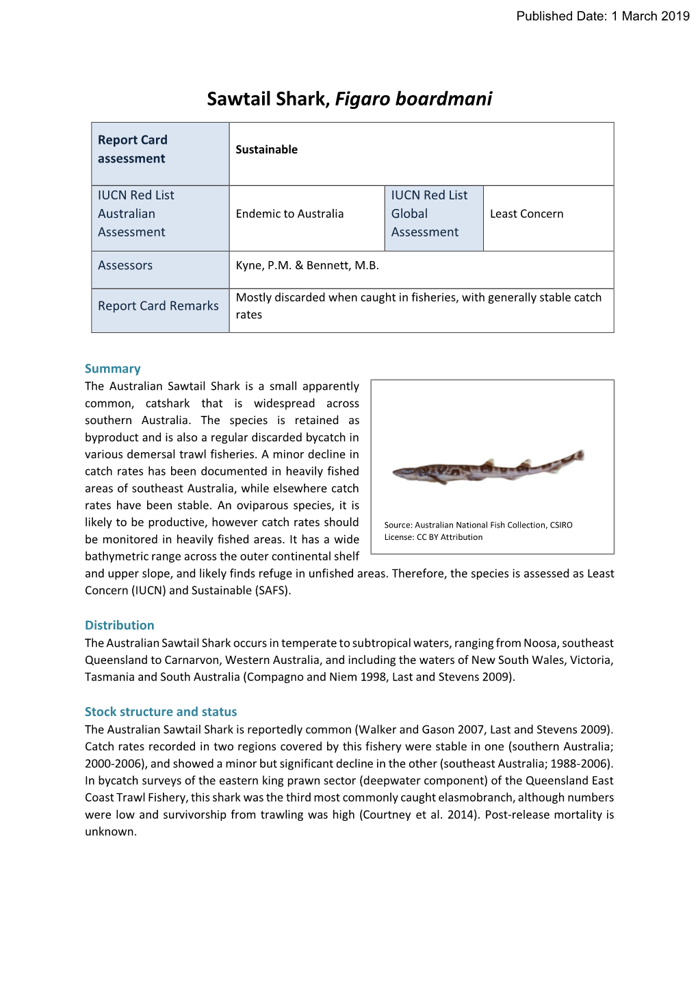 Sawtail Shark, Figaro Boardmani