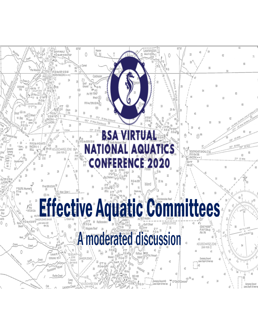 Effective Aquatic Committees a Moderated Discussion What Are Council Aquatic Committees?