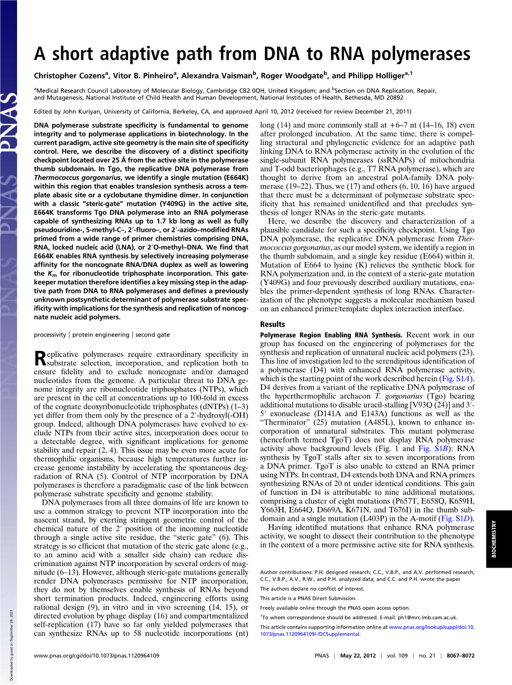 A Short Adaptive Path from DNA to RNA Polymerases